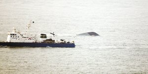 媒體稱(chēng)天安艦爆炸沉沒(méi)系韓海軍史上最大慘案