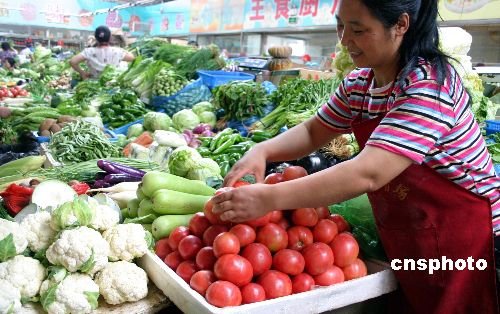 菜價持續(xù)高位運行 預計后期止?jié)q回落