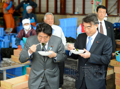 安倍再赴地震災(zāi)區(qū)視察吃當?shù)靥禺a(chǎn)稱有利于健康