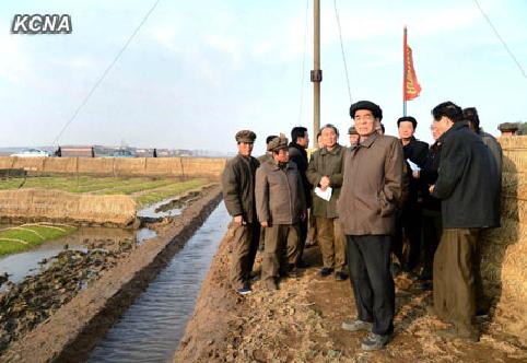 朝鮮總理考察農(nóng)場稱解決溫飽是勞動黨堅(jiān)定決心