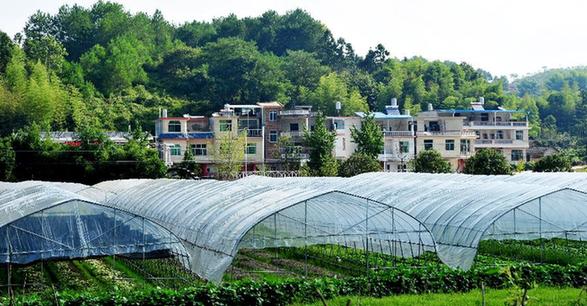 （走基層 聽民聲）（4）福建長?。何羧斩d坡地 今日花果山