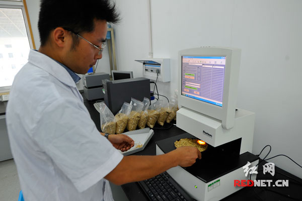 一分鐘檢定稻谷的重要指標，湖南省糧油產品質量監(jiān)測中心將投入國內最先進的設備為夏糧收購服務。