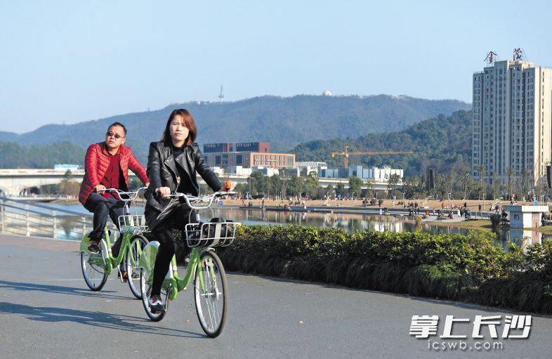 梅溪湖畔，市民們騎著共享單車賞景。長沙晚報(bào)記者 鄒麟 攝