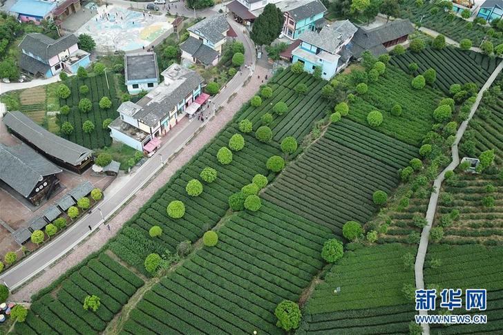 （新華全媒頭條·兩會特別報(bào)道·圖文互動(dòng)）（5）凝聚起上下同心、團(tuán)結(jié)奮進(jìn)的磅礴力量