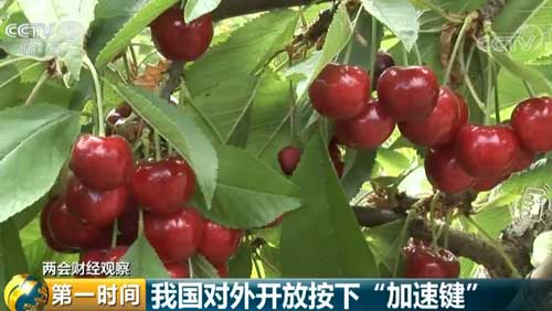 兩會財(cái)經(jīng)觀察 我國對外開放按下“加速鍵”
