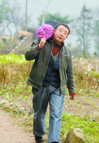 張義波行走在家鄉(xiāng)熟悉的田埂上。 