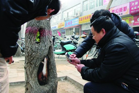 王月所繪的樹(shù)洞畫(huà)