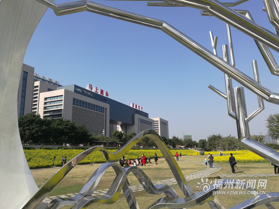 “福州藍”下，福州公園成金色花海