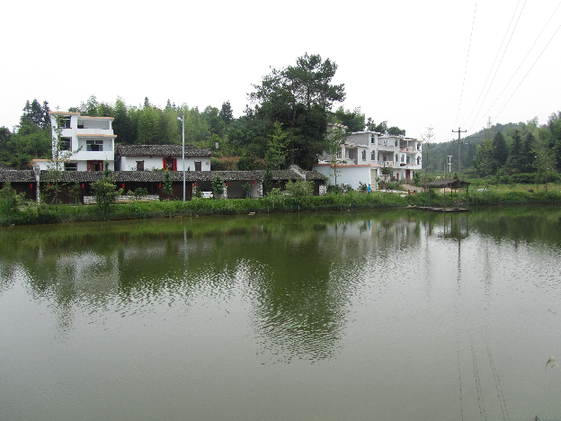 南坑村村容整潔，環(huán)境優(yōu)美。
